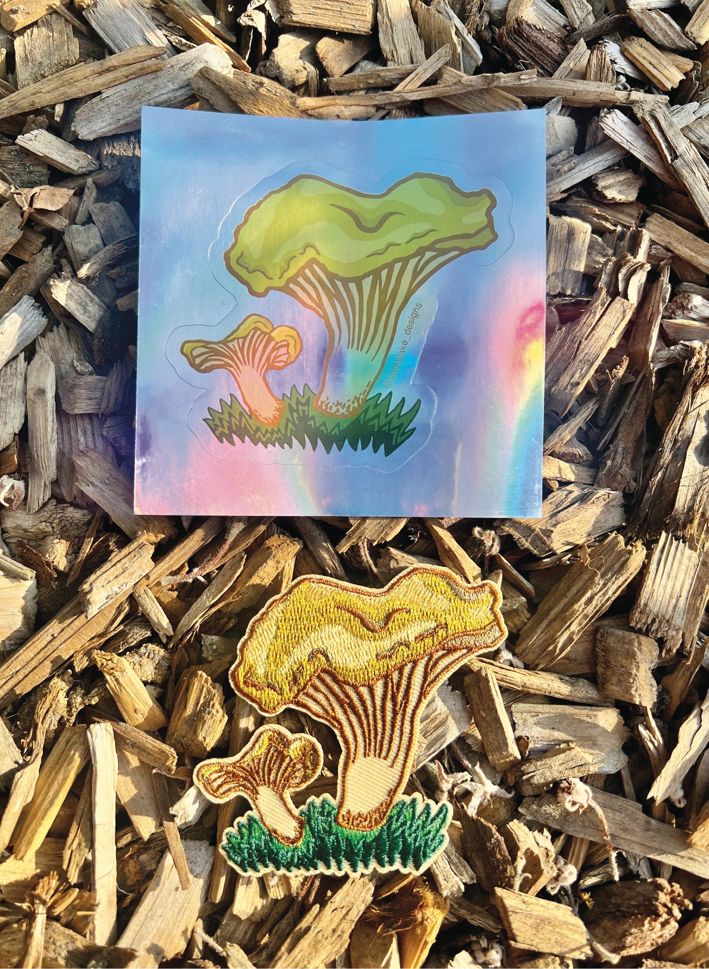 Golden Chanterelle Patch