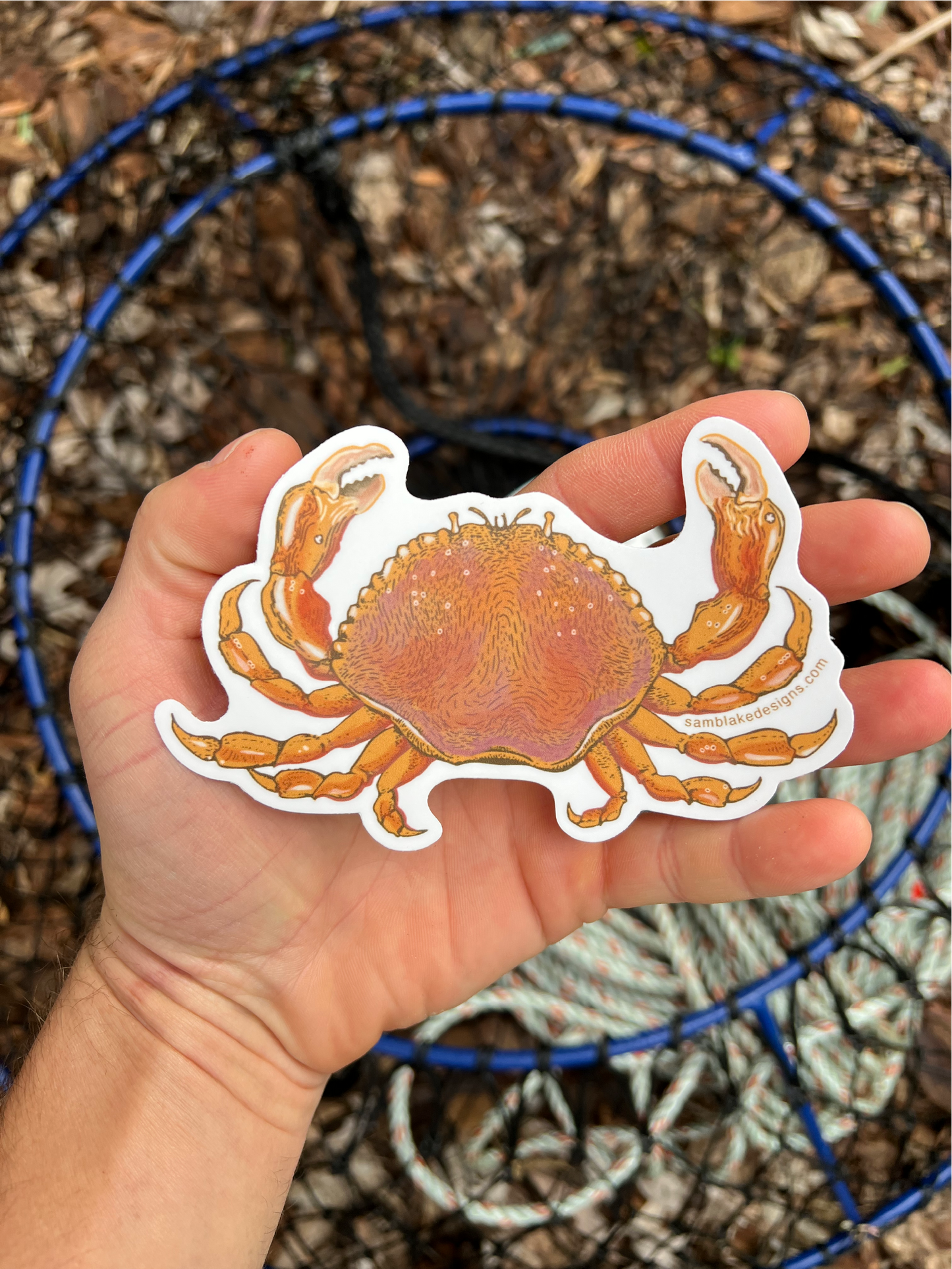 Dungeness Crab- Vinyl Sticker