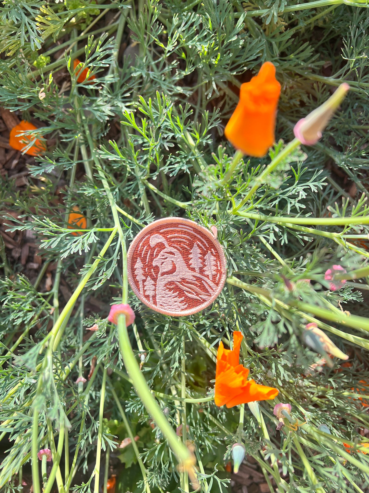 CA Quail Patch