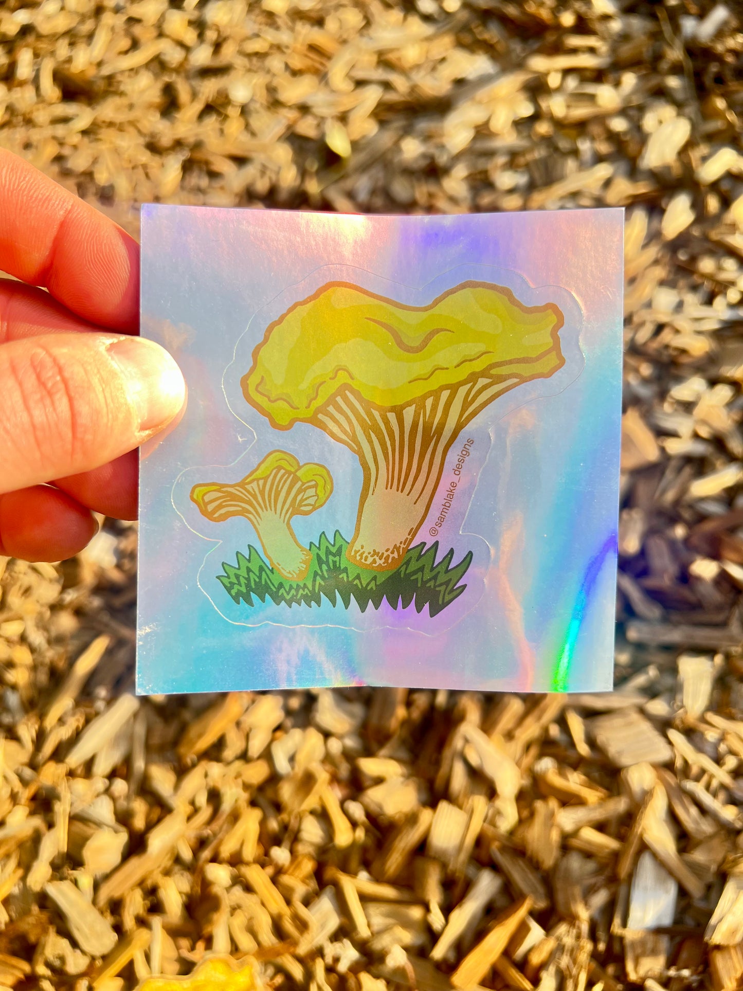 Golden Chanterelle- Holographic Sticker