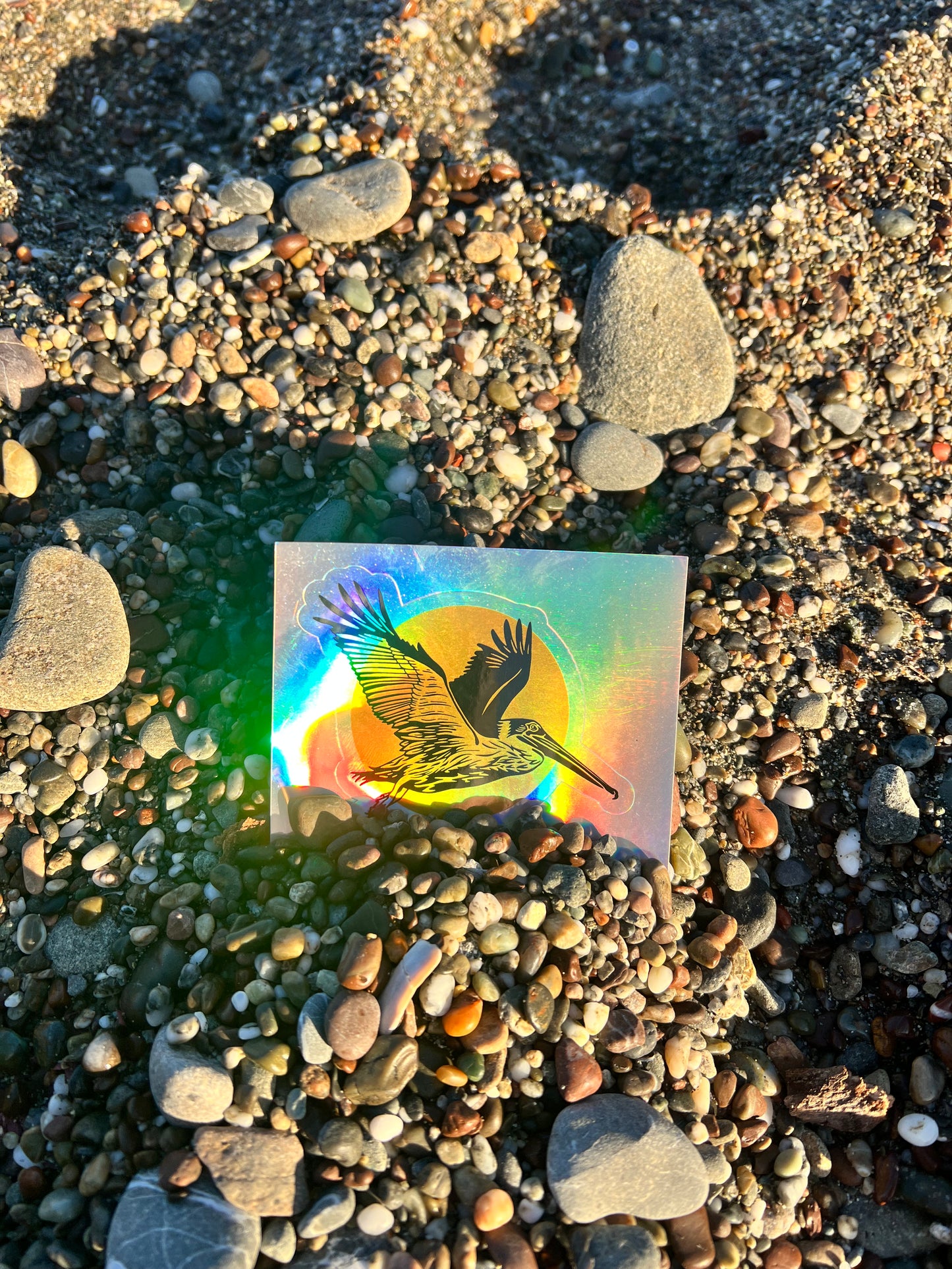 Pelican Sun- Holographic Sticker