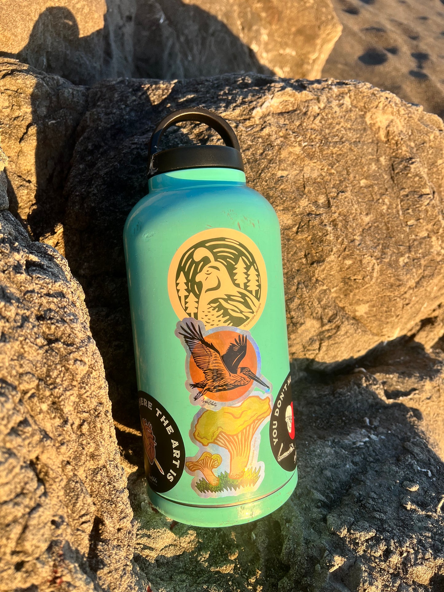 california quail-valley quail-sticker-vinyl sticker-bird art-water bottle sticker-decal