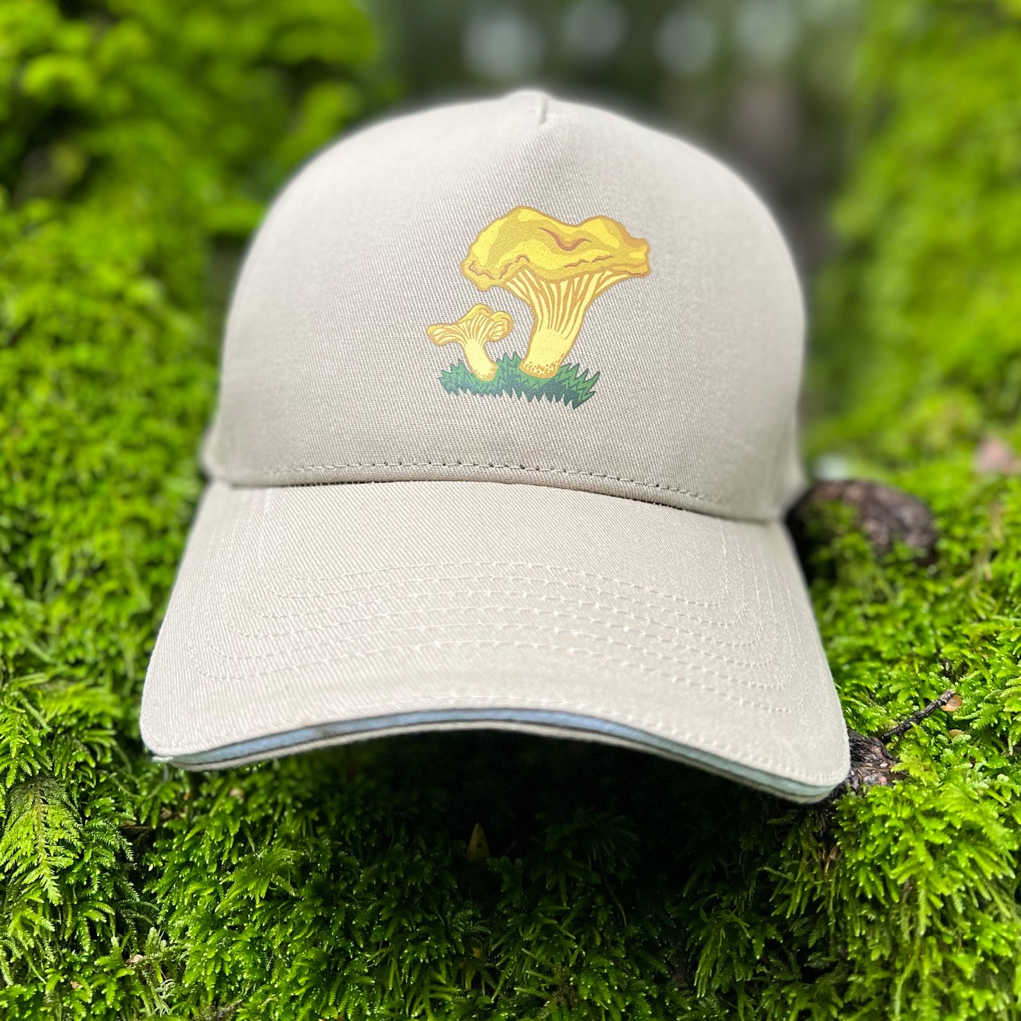 Chanterelle- 3 Panel