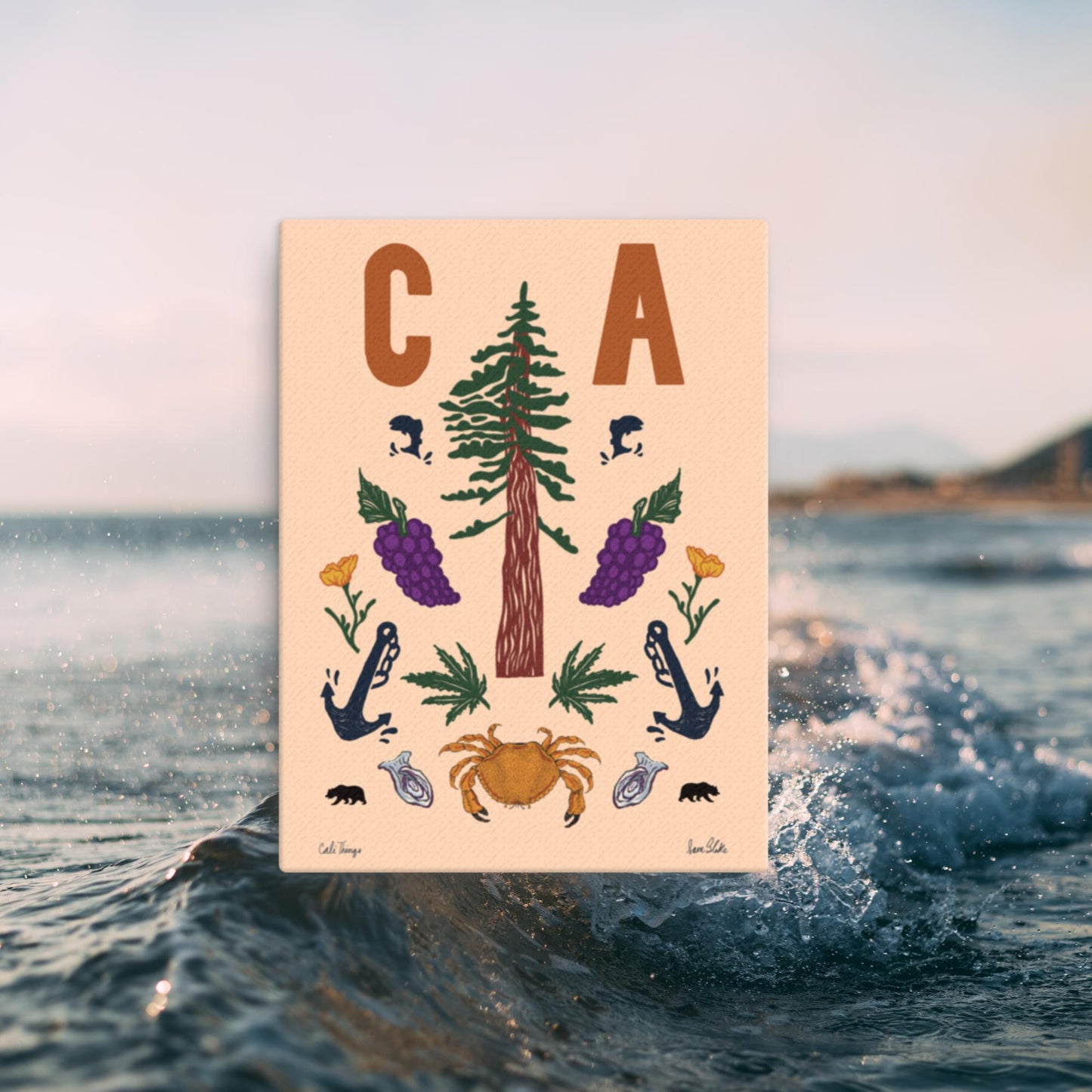 CA Icons