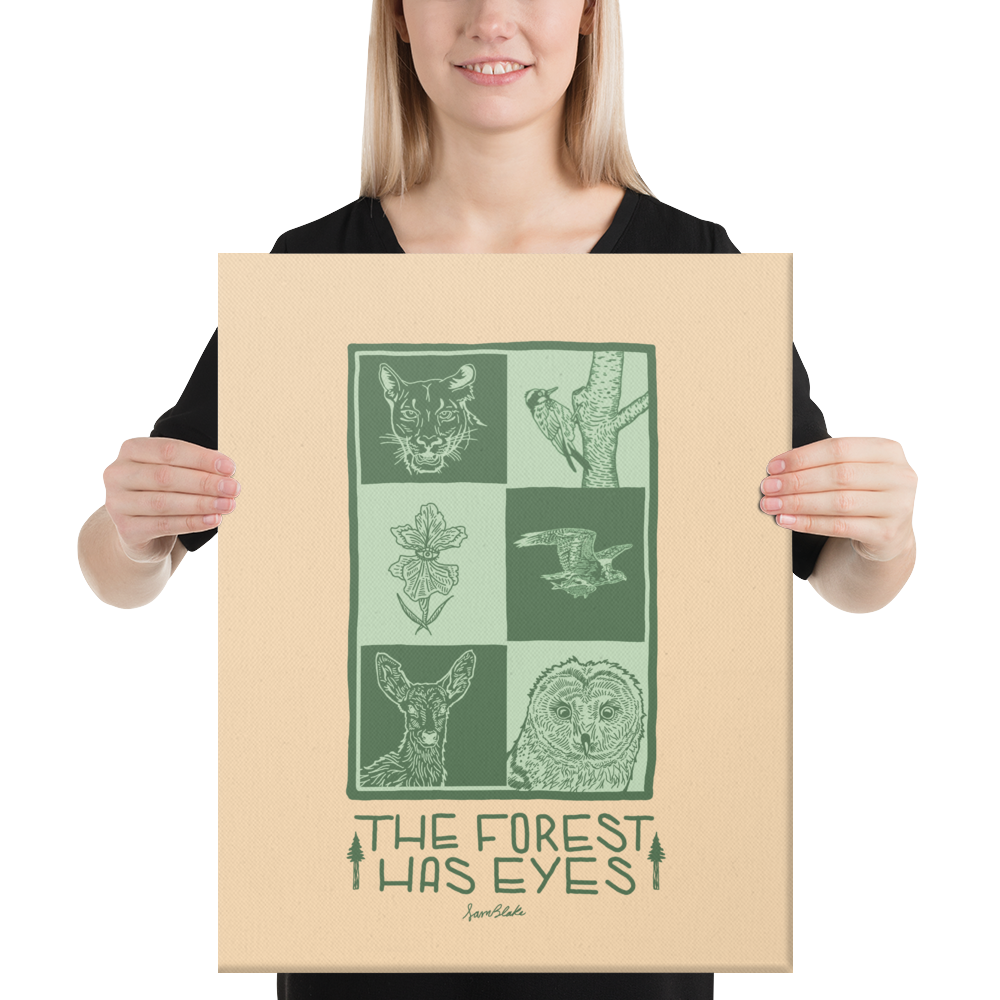 Forest has eyes