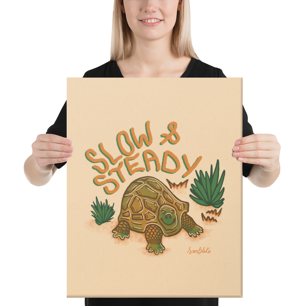 Slow & Steady