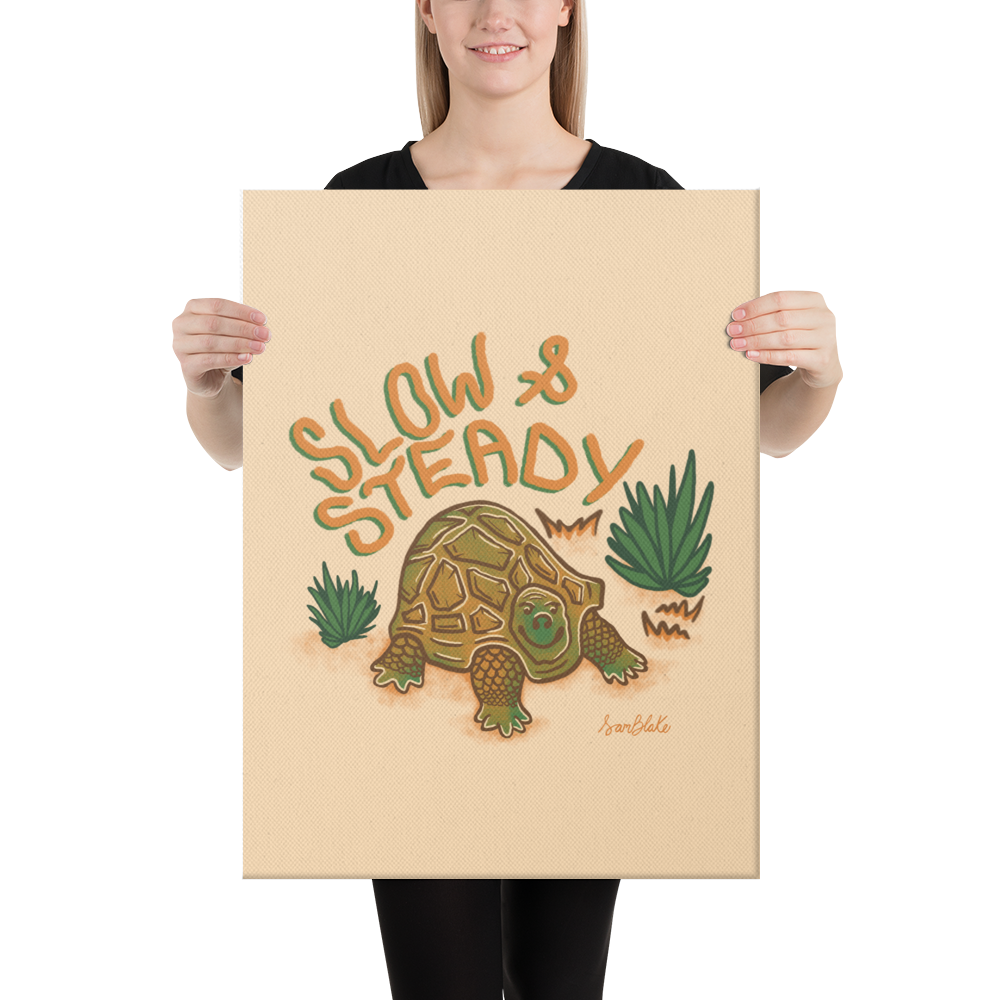 Slow & Steady