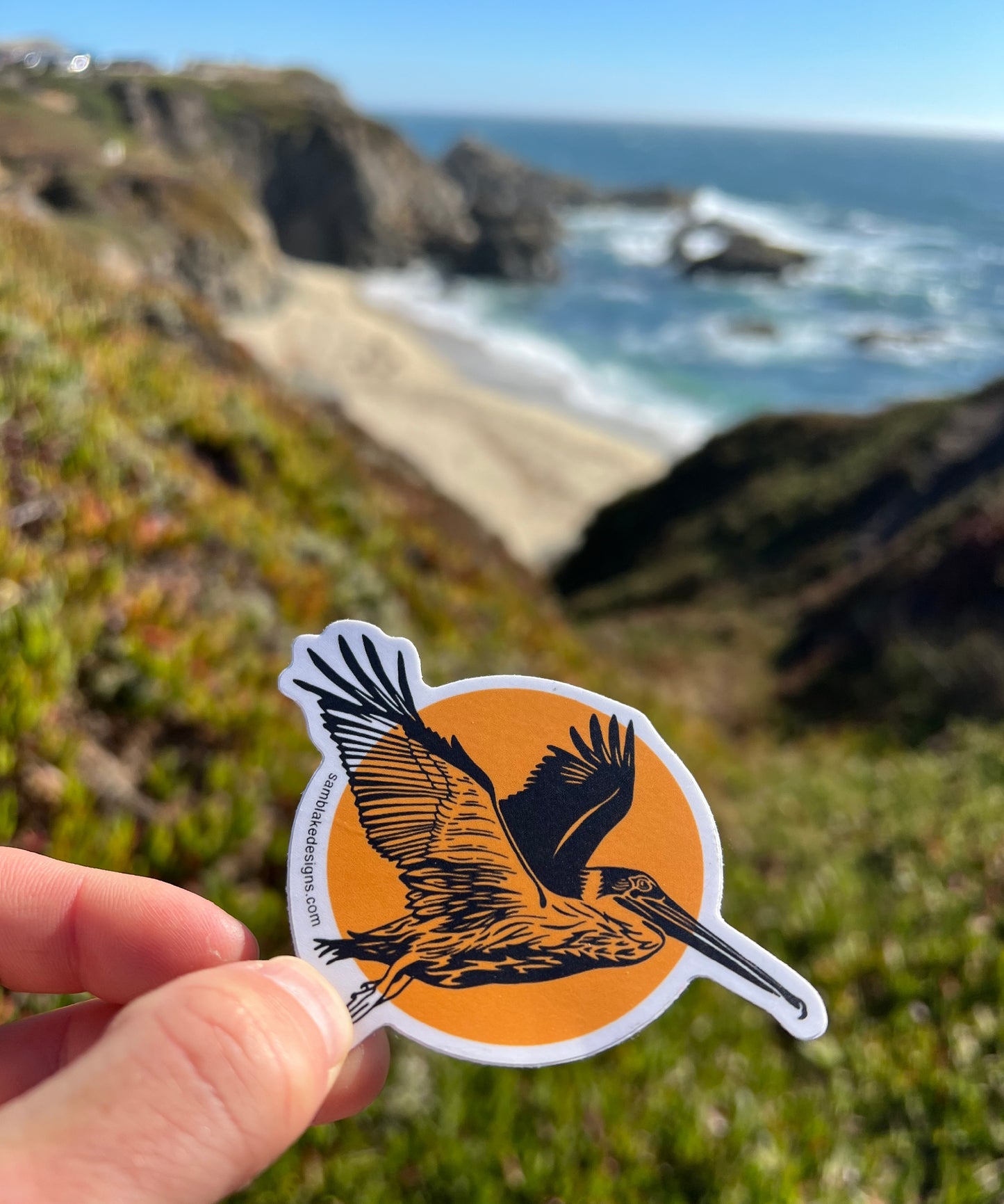 Pelican Sun- Vinyl Sticker