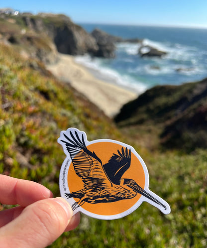Pelican Sun- Vinyl Sticker