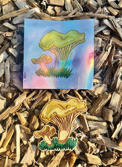 Golden Chanterelle Patch