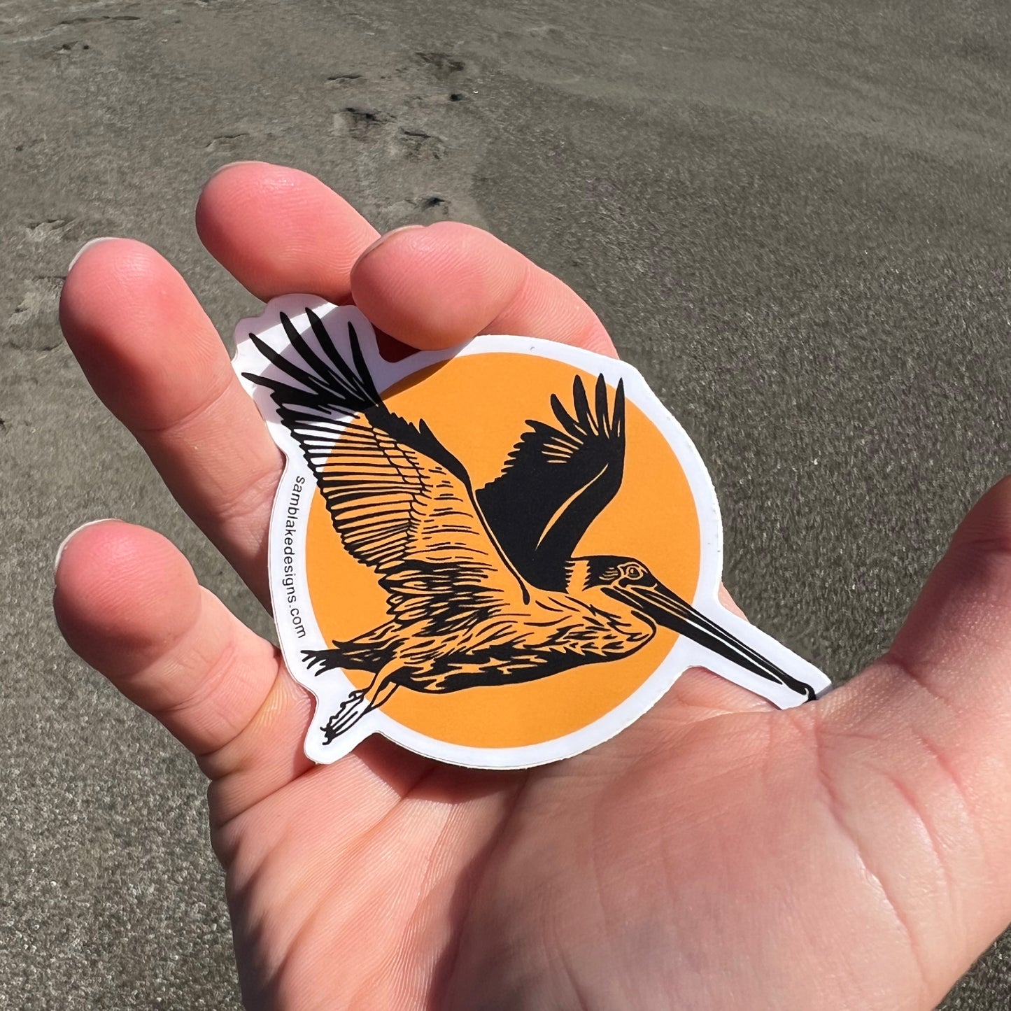 Pelican Sun- Vinyl Sticker