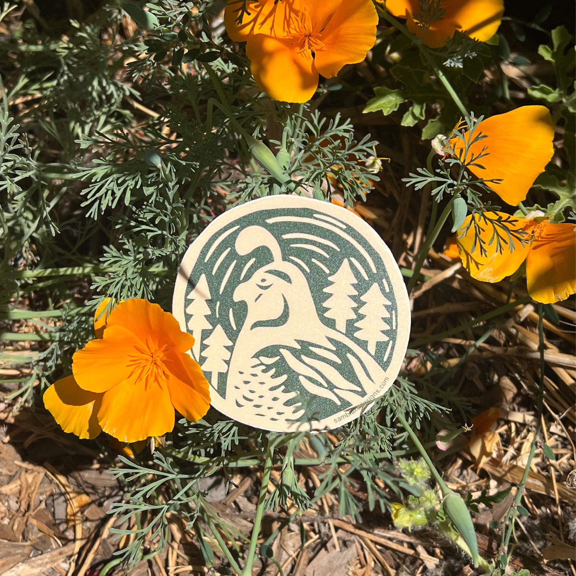 california quail-valley quail-sticker-vinyl sticker-bird art-california poppy