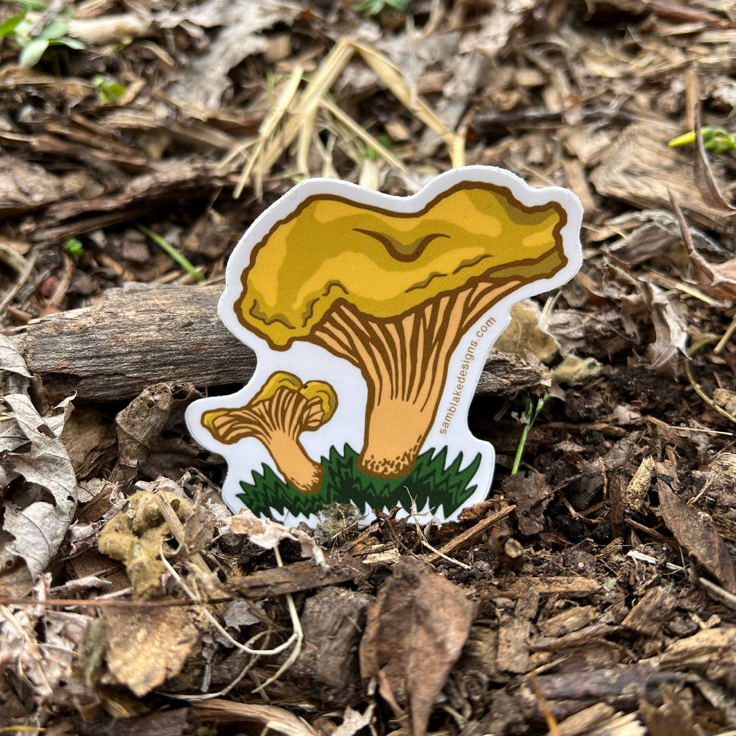 Golden Chanterelle- Vinyl Sticker