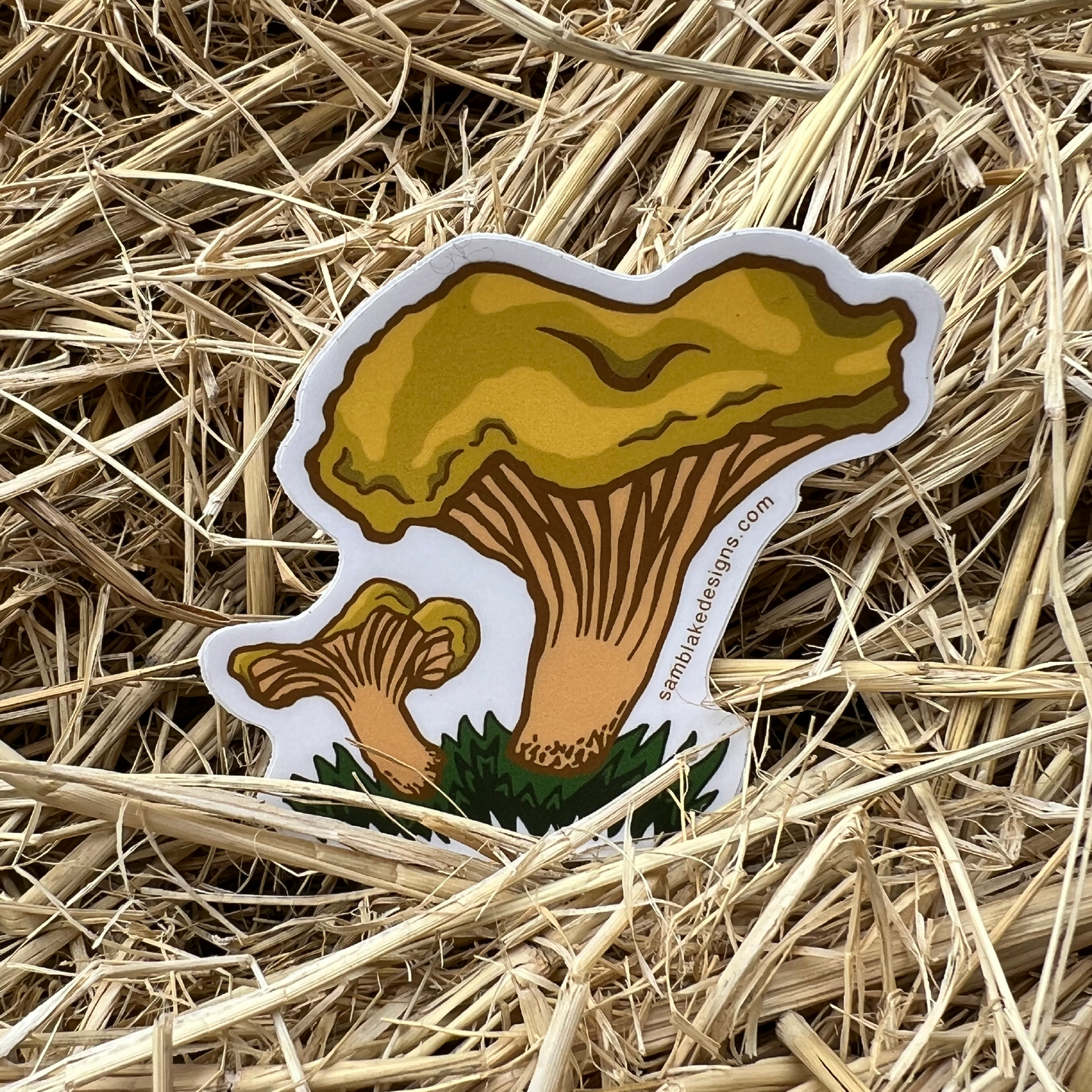 Golden Chanterelle- Vinyl Sticker