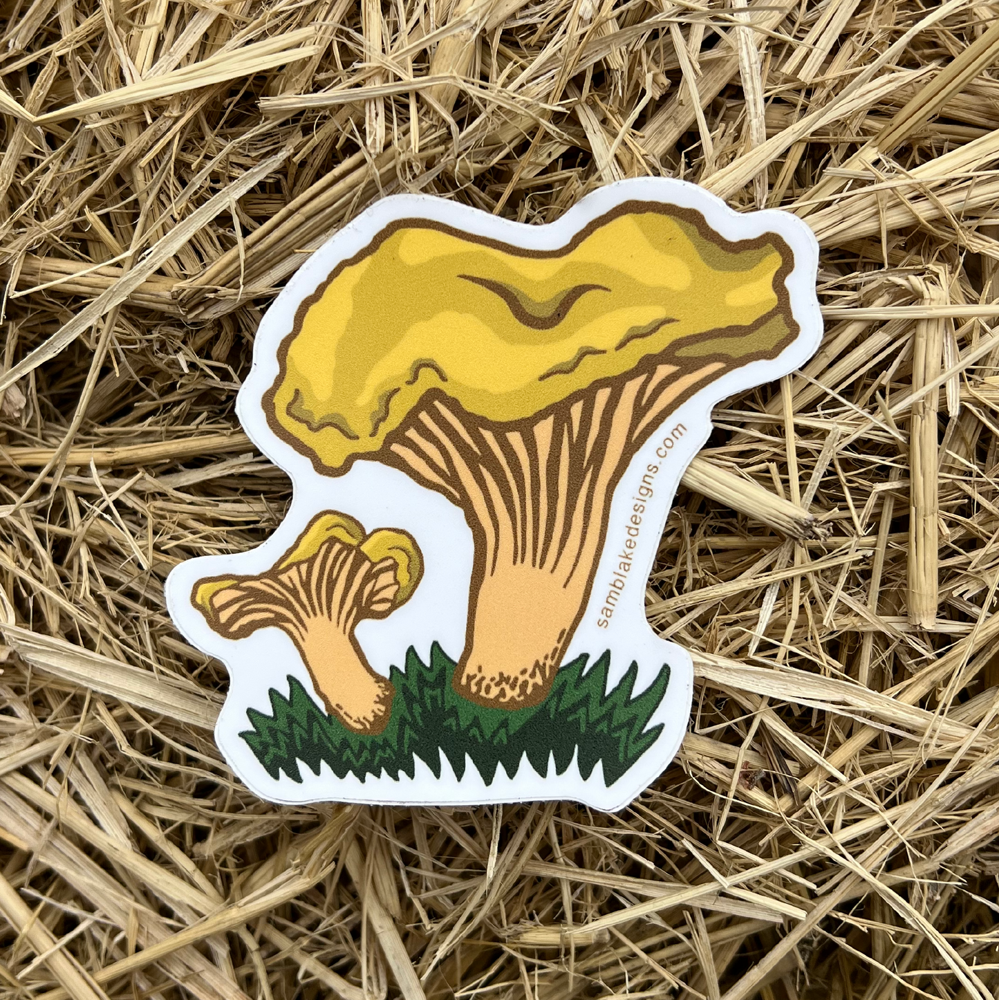 Golden Chanterelle- Vinyl Sticker