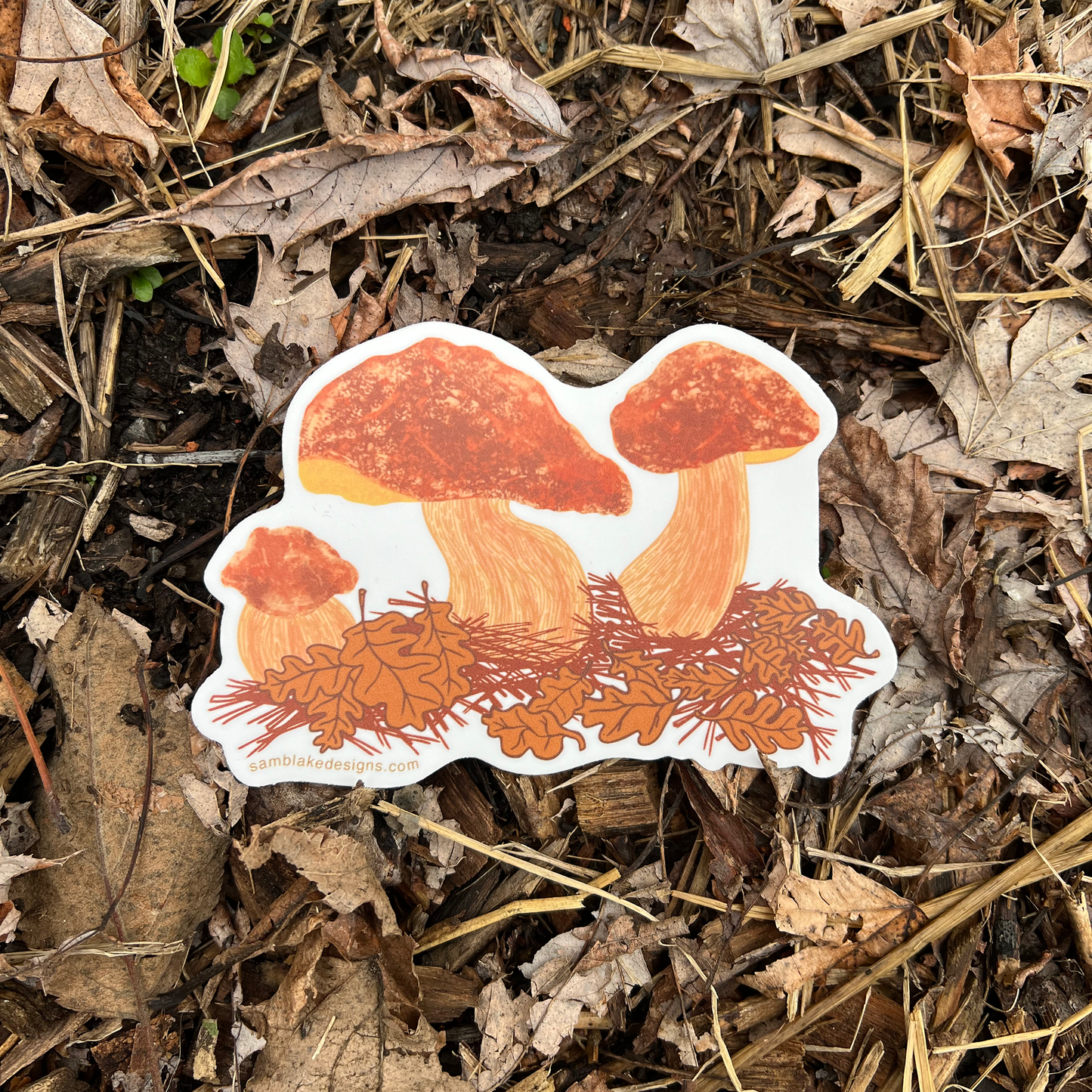 Porcini Mushroom- Vinyl Sticker