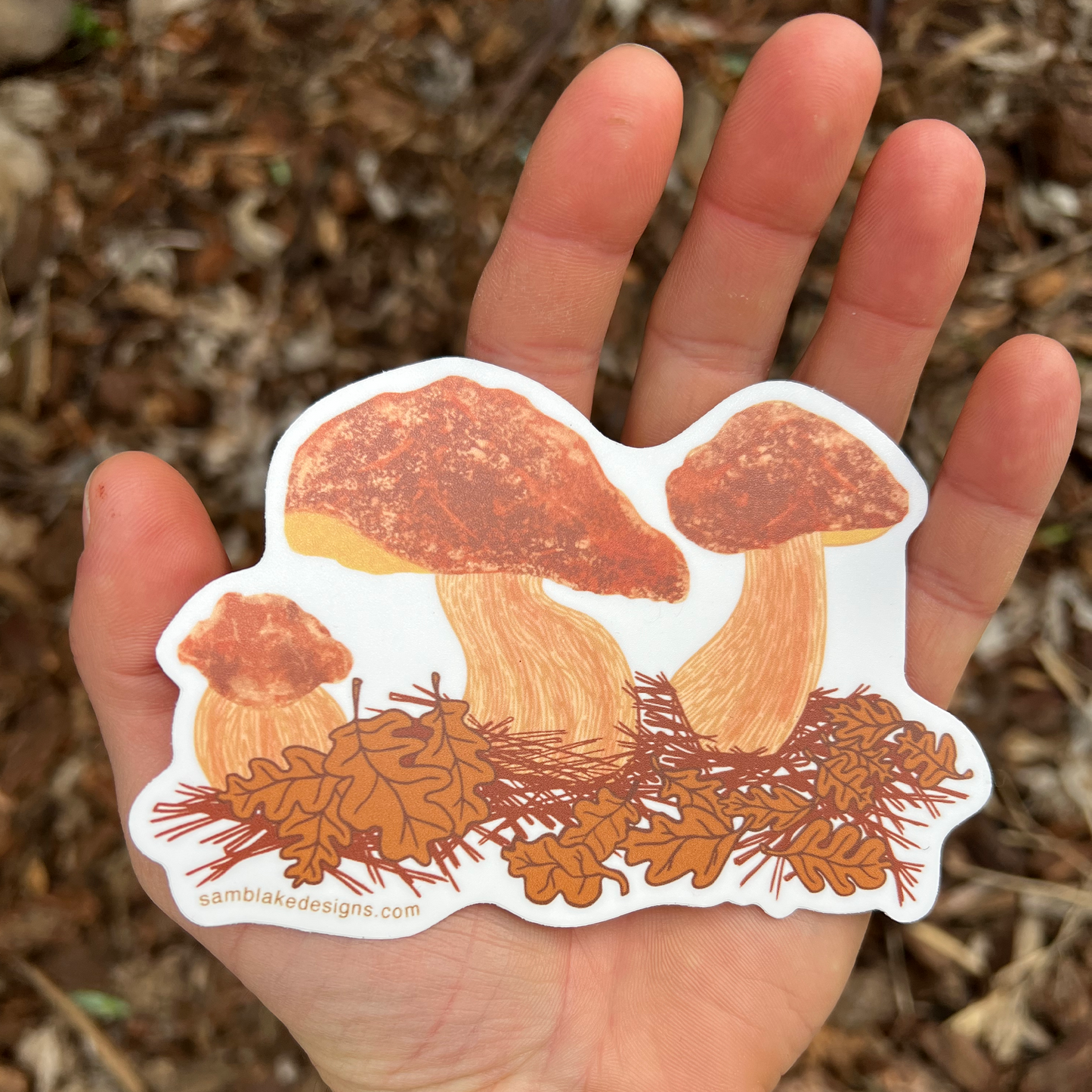 Porcini Mushroom- Vinyl Sticker