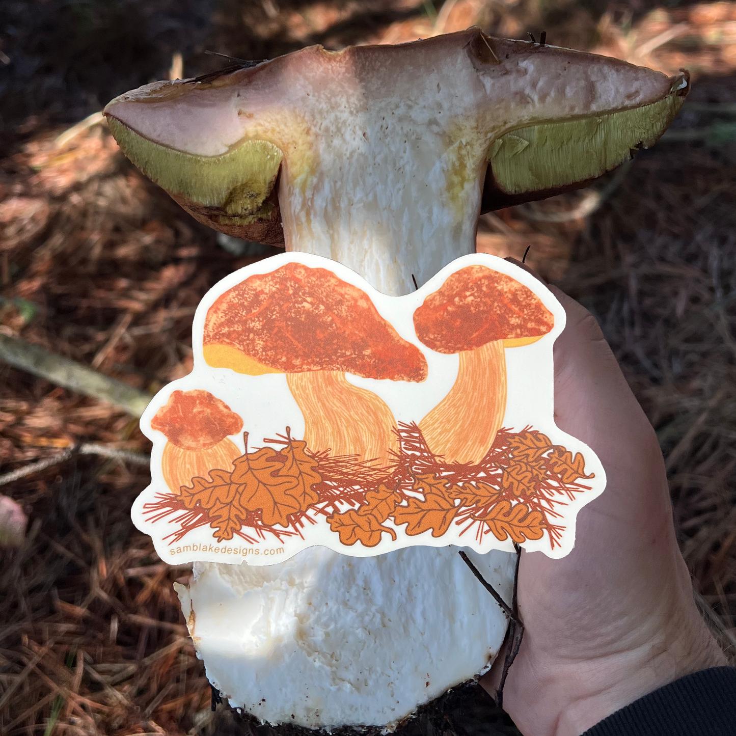 Porcini Mushroom- Vinyl Sticker