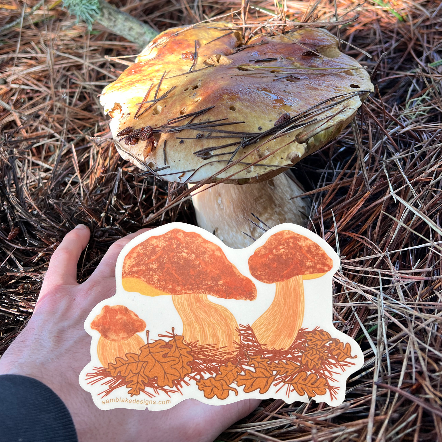 Porcini Mushroom- Vinyl Sticker