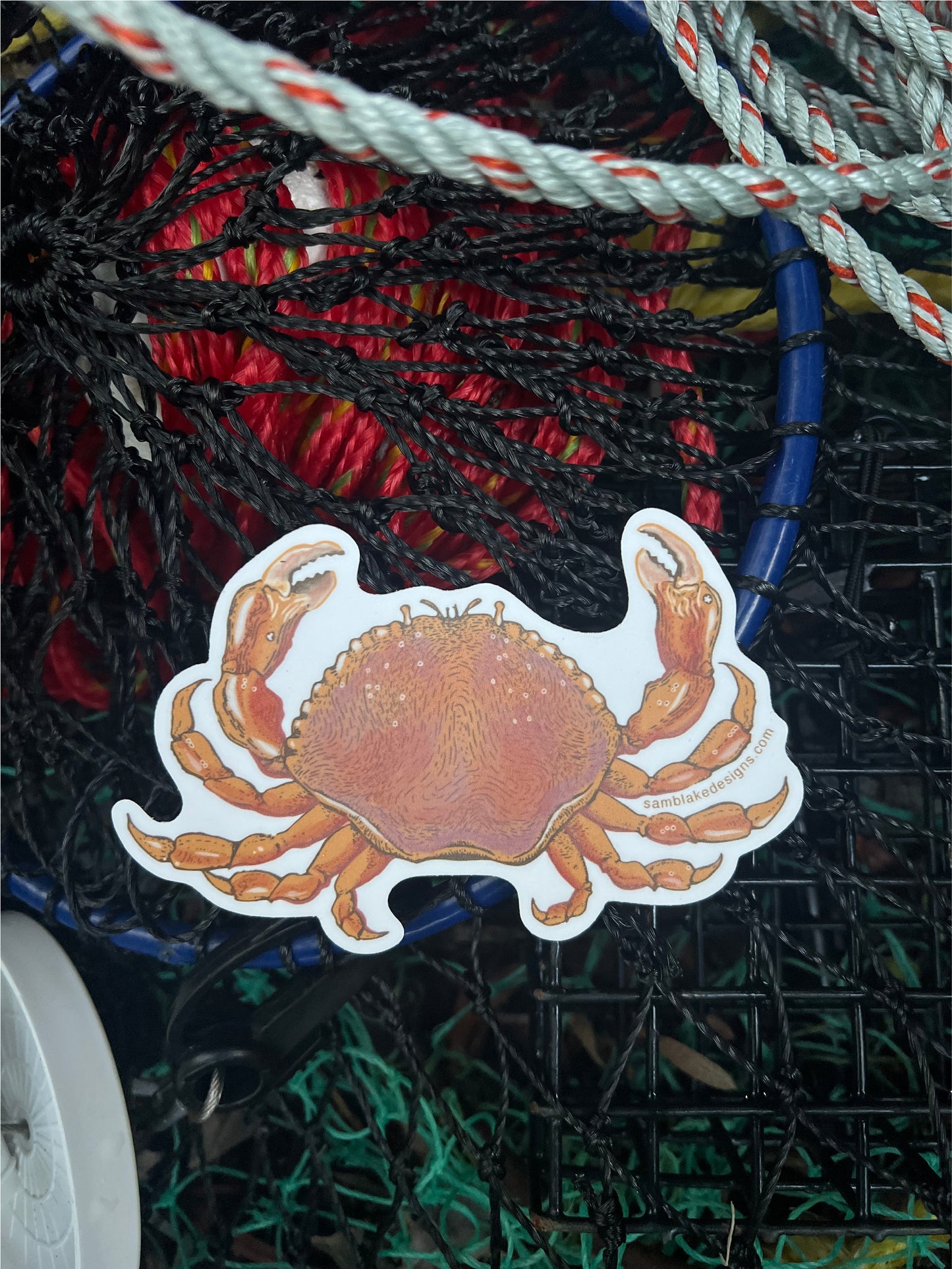 Dungeness Crab- Vinyl Sticker