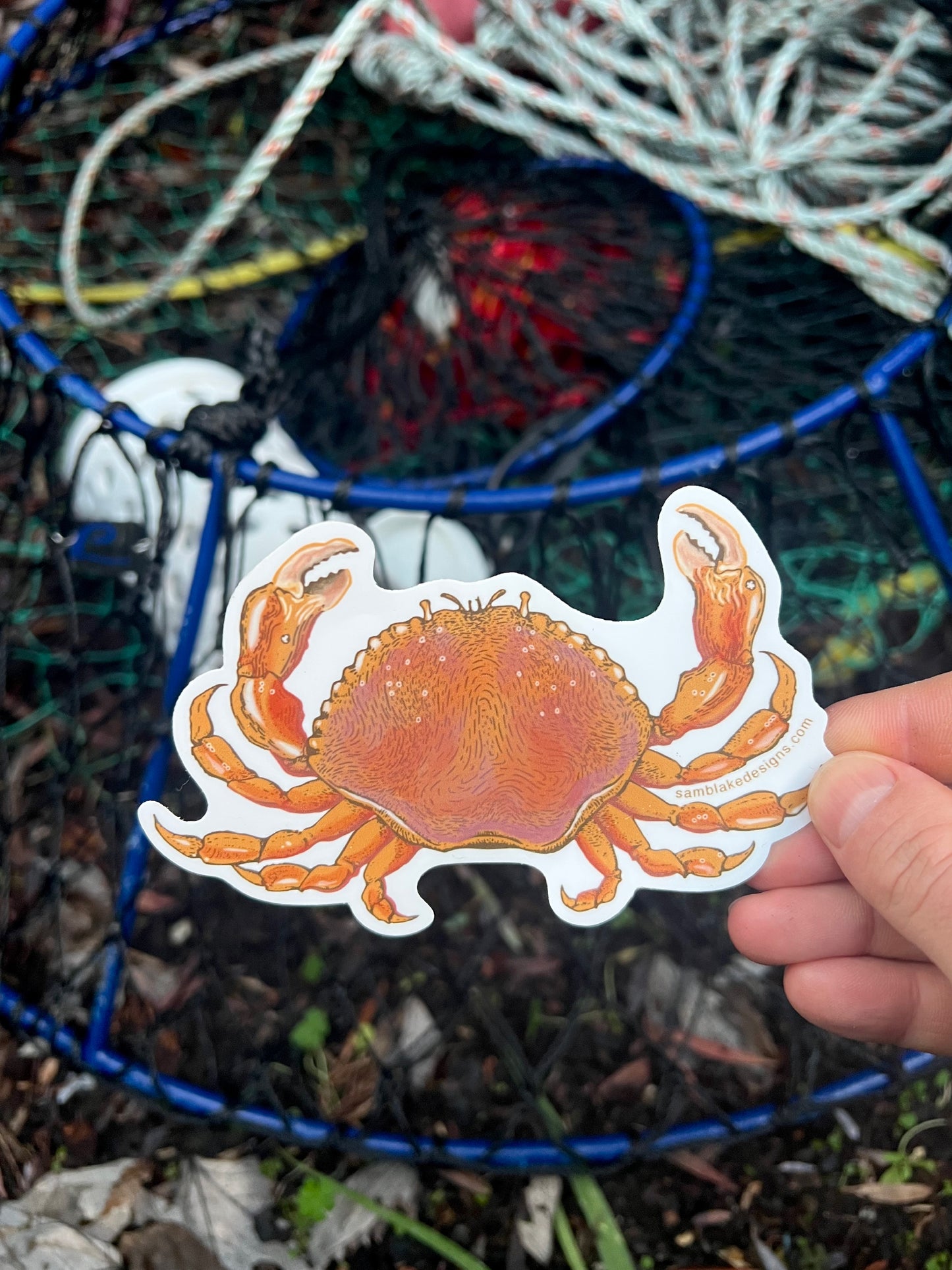 Dungeness Crab- Vinyl Sticker