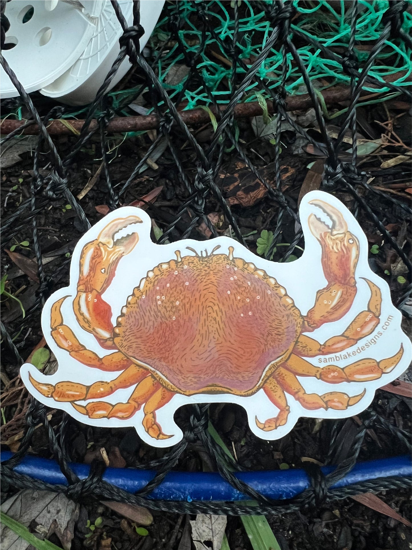 Dungeness Crab- Vinyl Sticker