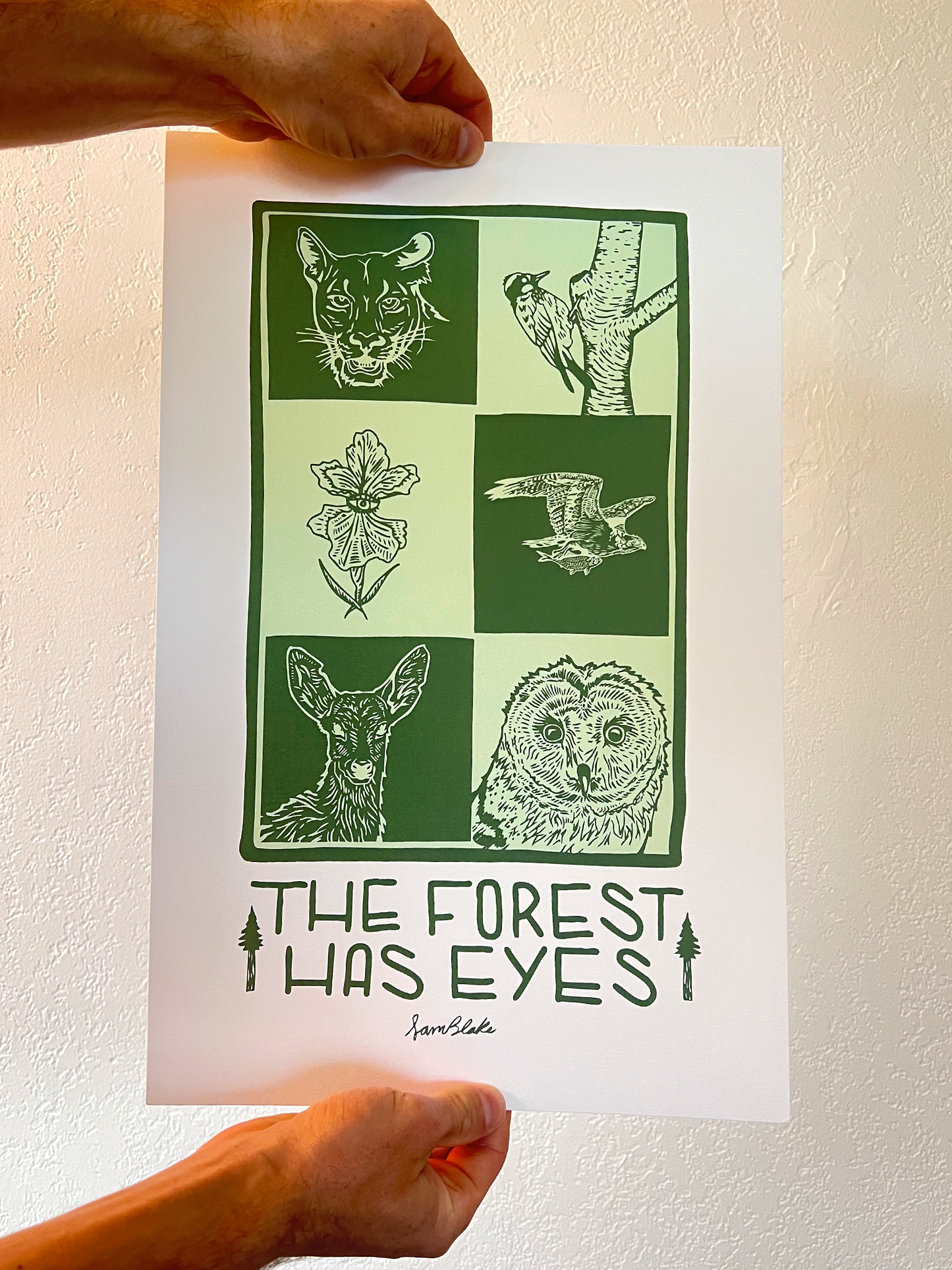 The Forest has Eyes