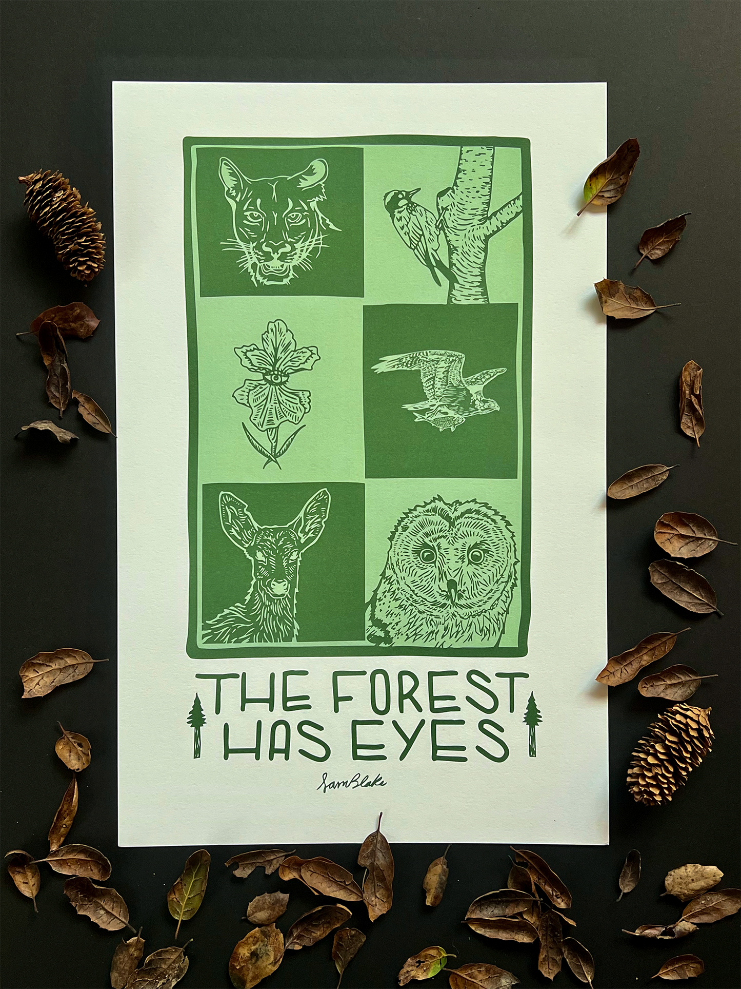 The Forest has Eyes