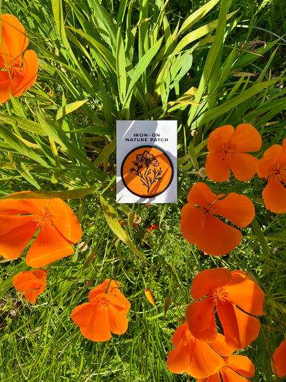 California Poppy- Patch