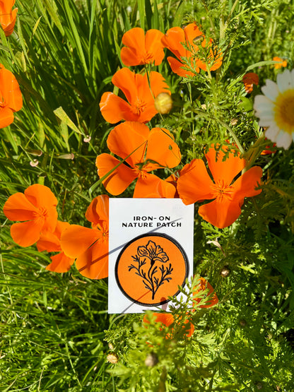 California Poppy- Patch