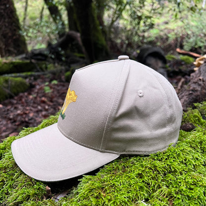 Chanterelle- 3 Panel