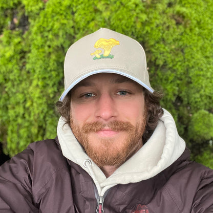 Chanterelle- 3 Panel