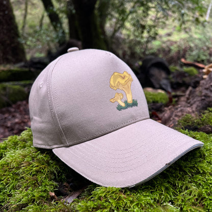 Chanterelle- 3 Panel