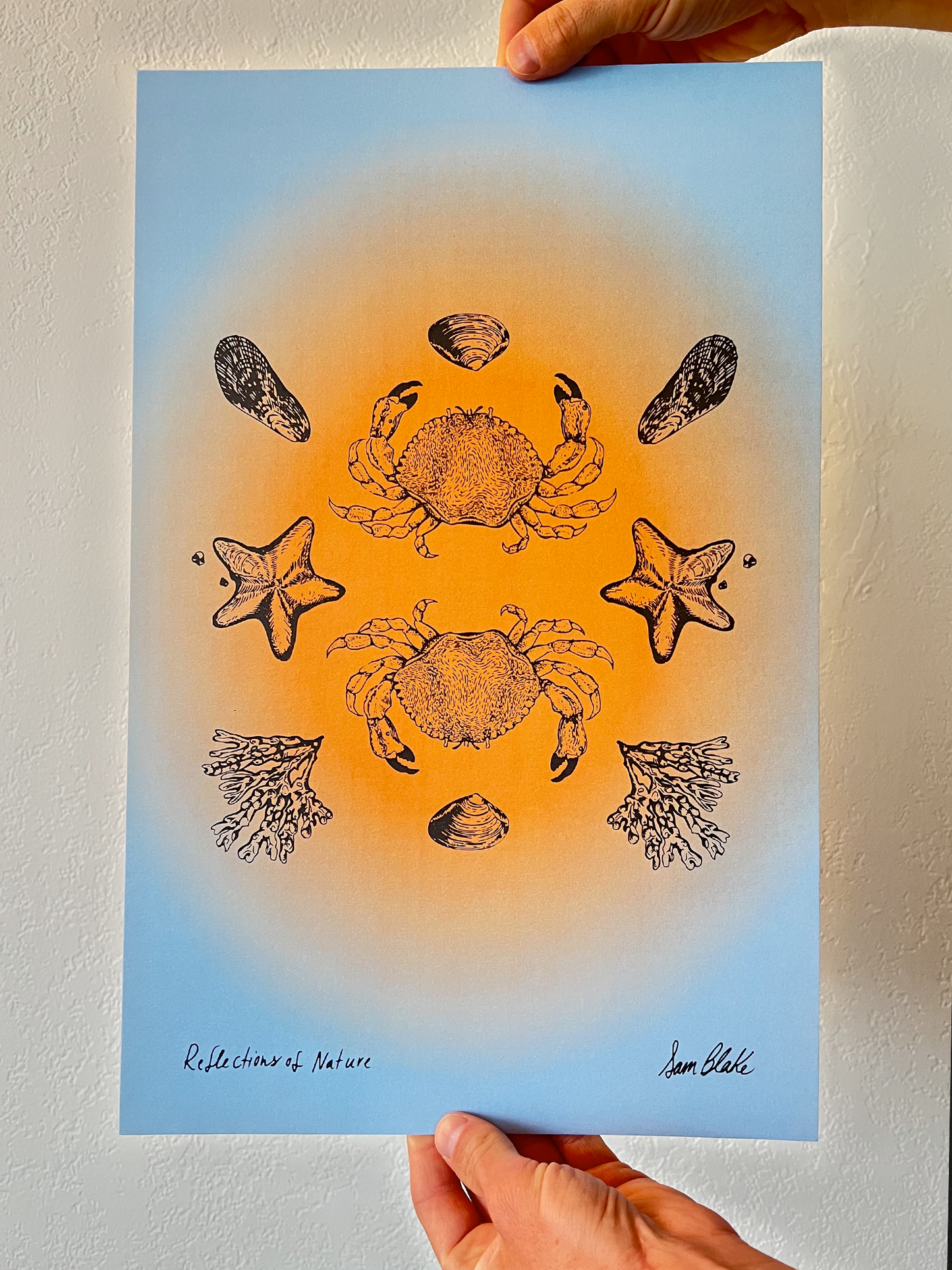 Reflections of Nature