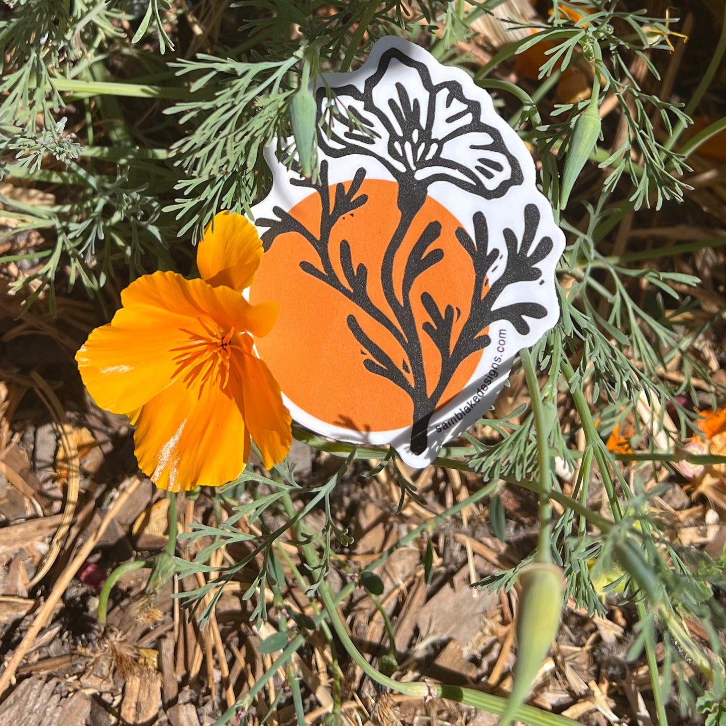 CA Poppy- Vinyl Sticker