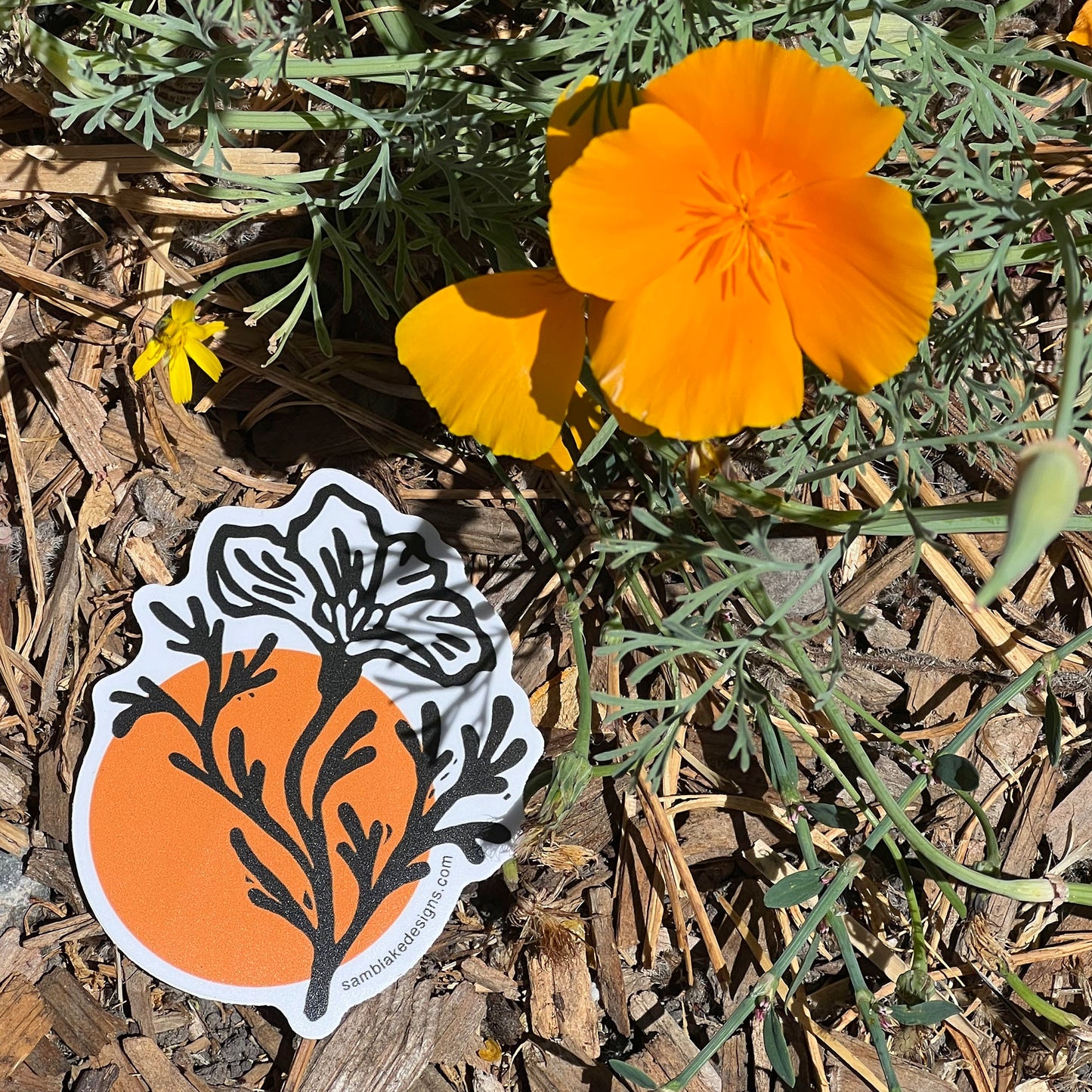 CA Poppy- Vinyl Sticker