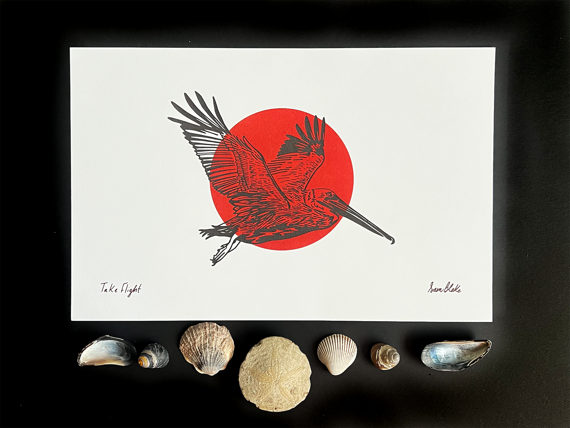 Art print with a pelican bird illustration on a red circle, surrounded by seashells on a dark background