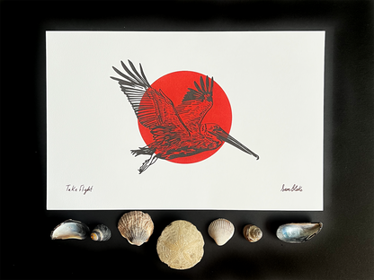 Art print with a pelican bird illustration on a red circle, surrounded by seashells on a dark background