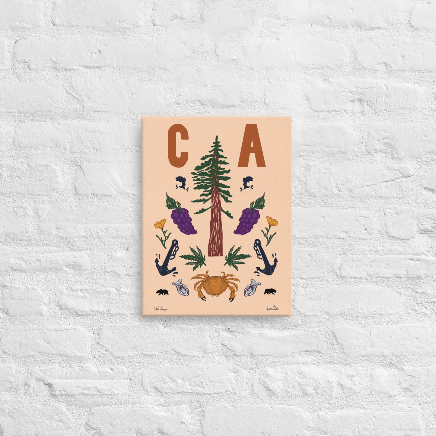 CA Icons