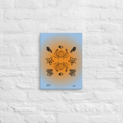 Dungeness Reflections