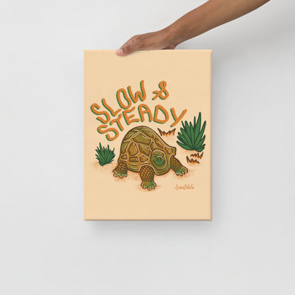 Slow & Steady