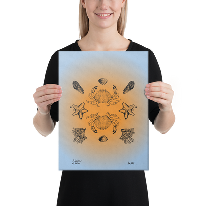 Dungeness Reflections