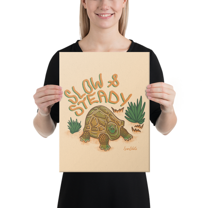 Slow & Steady
