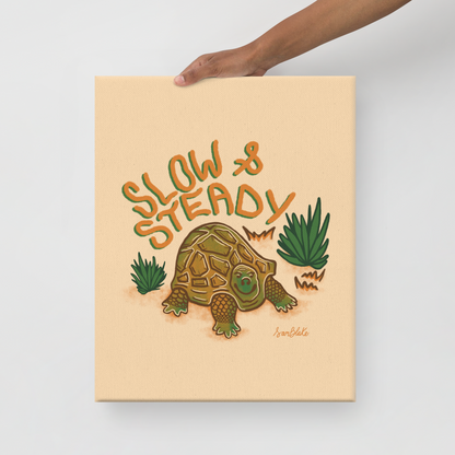 Slow & Steady