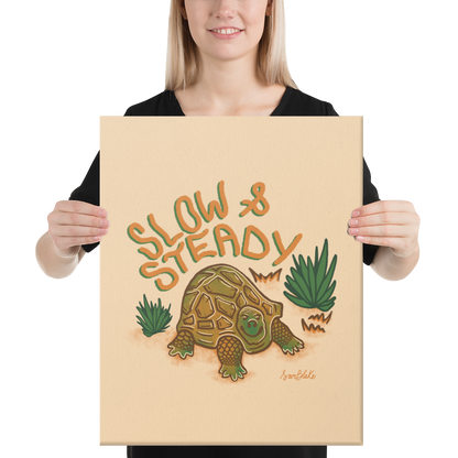 Slow & Steady