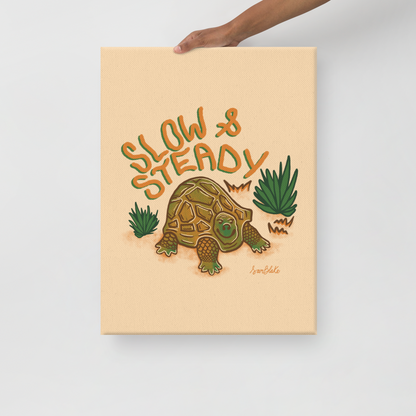 Slow & Steady