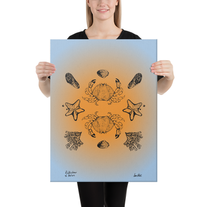 Dungeness Reflections