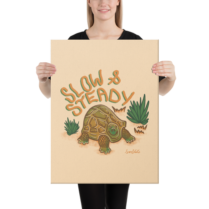 Slow & Steady