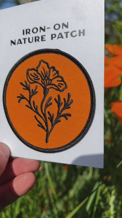 California Poppy- Patch