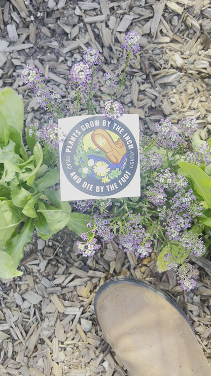 Tread Lightly- Sticker